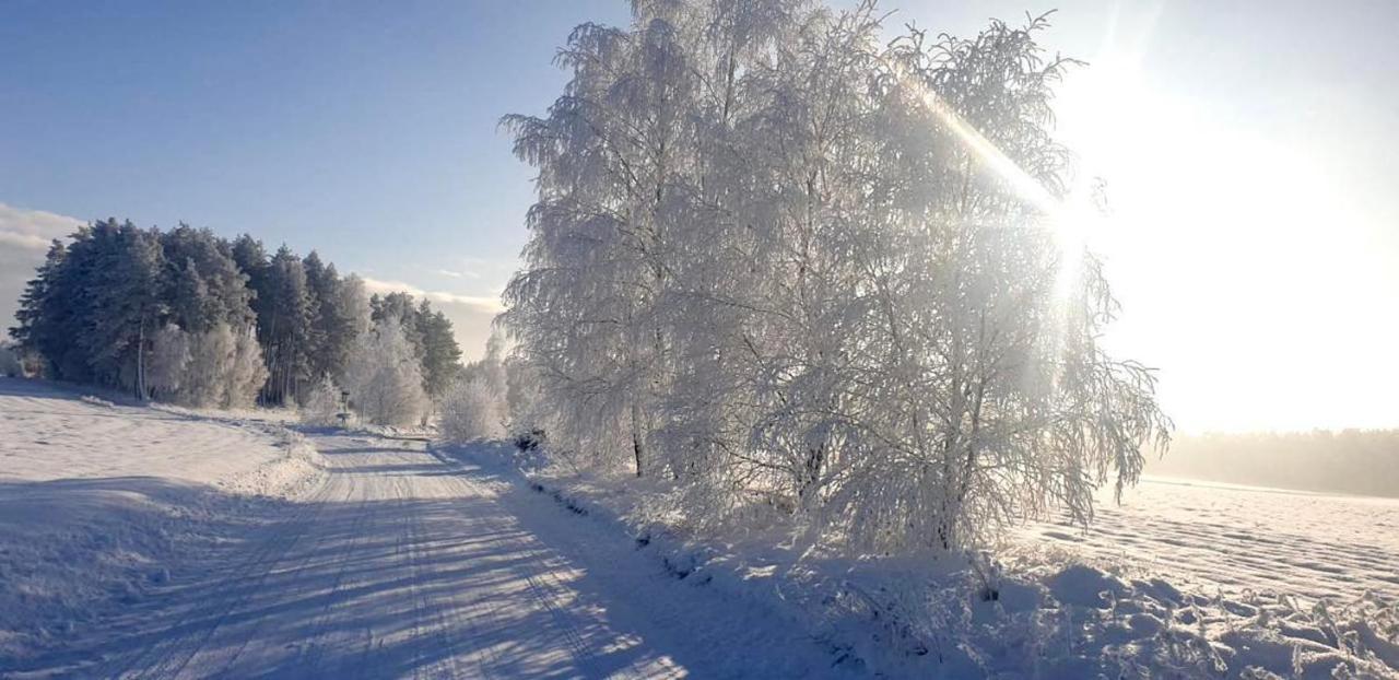 Ostoja Bukowo 12,2 Chata U Szoltesa Borowy Mlyn Exteriör bild