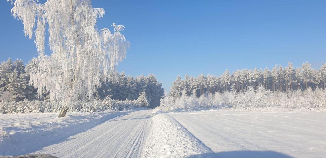 Ostoja Bukowo 12,2 Chata U Szoltesa Borowy Mlyn Exteriör bild