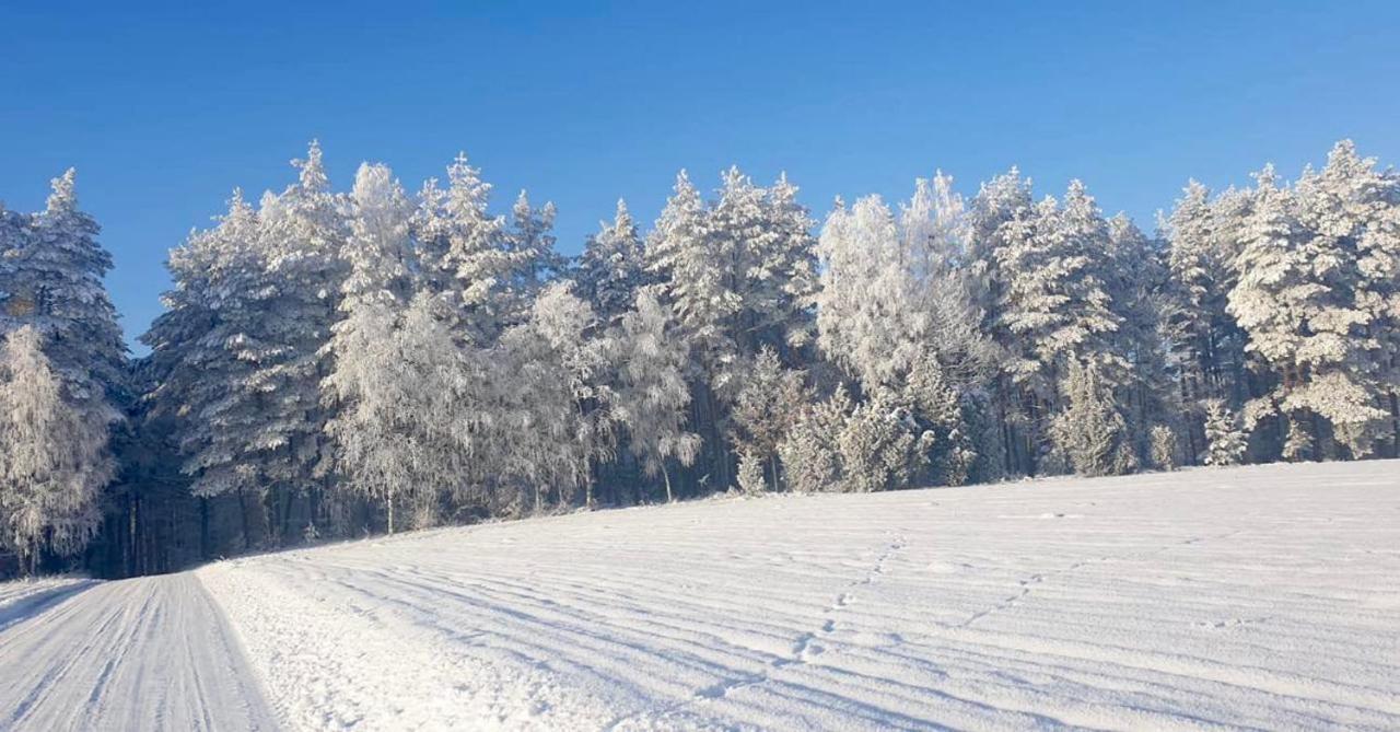 Ostoja Bukowo 12,2 Chata U Szoltesa Borowy Mlyn Exteriör bild